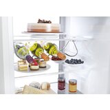 Haier HLADNJAK HBW7518C, (6901018089978) | shoptok.hr