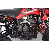 Beneo Otroški štirikolesnik 125cc Motors ZXT rdeča | Shoptok.si