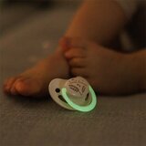 BabyOno Take Care Anatomical Silicone Soothers duda Day & Night 18m+ 2 kom | shoptok.hr