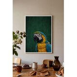 Wallxpert uramljena slika 115207, ara papagaj u plavoj i žutoj boji na tamnozelenoj pozadini, 50 x 70 cm, beli ram Cene