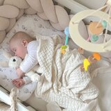 Classic World pastel baby set box first toys od 0 - 6 mjeseci | shoptok.hr