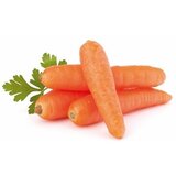 Nepoznato Šargarepa 1kg | ePonuda.com