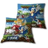 The Hedgehog Ukrasni Jastuk