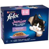 3 + 1 gratis! 4 x Felix Deli Moments - Junior "So gut wie es aussieht" 4 x (12 x 85 g) - Piletina, govedina, losos, sardine Cijene