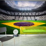  Tapeta - Brazilian stadium 150x105 | shoptok.hr