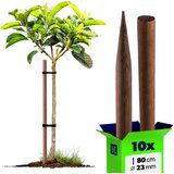 KADAX leseni koli, impregnirani koli 80 cm, podporne palice, 10 kosov, Fi 23 mm, (5000362590) | Shoptok.si