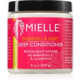 Mielle Babassu & Mint globinsko hranilni balzam 227 g | Shoptok.si