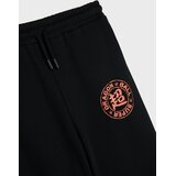 Sinsay Donji dio trenirke loose jogger Dragon Ball | shoptok.hr