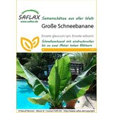 Saflax Velika snežna banana Cene