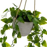 Casa Selección Umetna rastlina (višina 46 cm) – | Shoptok.si