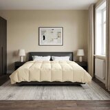  Ljetni pokrivač Šonerisan Krema 240 x 260 cm Mikrovlakna | shoptok.hr