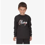 Champion Long sleeve t-shirt | ePonuda.com