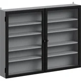 Stenska vitrina Siva s Steklenimi Vrati 80x12.2x60cm FSB113-DG, (5000345758)