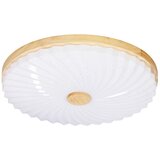 Candellux Lighting Bijela LED stropna svjetiljka 38x38 cm Lemo – | shoptok.hr