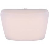 Globo 41654 Plafonska svetiljka za kupatilo Danylo LED/12w/230V IP44