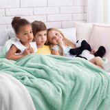 AmeliaHome Deka Shleepy 170x210 cm, mint zelena | shoptok.hr
