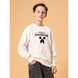 Sinsay Crewneck majica Minecraft | shoptok.hr