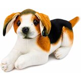 Plišani pas Bigl, plišana igračka, mekani pas, 25 cm | shoptok.hr