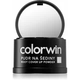 Colorwin Powder puder za lase za volumen in prekritje sivih las odtenek Black 3,2 g