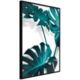  Poster - Turquoise Monstera II 30x45 | shoptok.hr