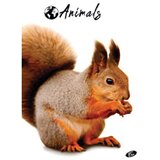 Teka meki uvez A4 karo 40+2L 80g Animal Elisa sortirani motivi | shoptok.hr