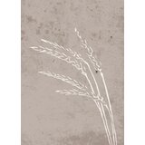 Venture Home poster Seeds 50 × 70 cm, bež | shoptok.hr