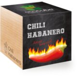 Feel Green ecocube "Chili Habanero" Cene