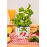 Sass & Belle Keramičen ročno poslikan okrasni cvetlični lonec ø 12 cm Chilli – | Shoptok.si