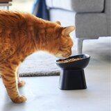YAMAZAKI Keramična posoda za hrano za hišne ljubljenčke Tower – | Shoptok.si
