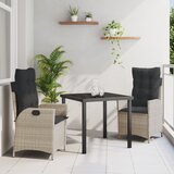 vidaXL Set od 2 Svjetlosiva, Antracit PE ratan, čelik obložen prahom | shoptok.hr