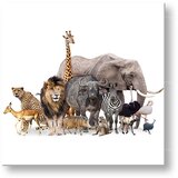  Slike na platnu ŽIVOTINJE_051-12 (moderne slike na platnu) | ePonuda.com