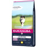 Eukanuba Grain Free Puppy Large Breed piletina - 2 x 12 kg Cijene