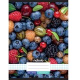 NEBULO Zvezek s sponkami, karo vzorec z motivom sadja, 87-32 A/4 | Shoptok.si