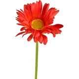 Mondex Umetna roža plastika Viridis Gerbera 67cm zelena 1kos, (5000310467) Cene
