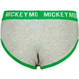 Licensed Boy's briefs Mickey Mouse 5 Pack - Frogies | Eponuda.ba