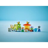 Lego DUPLO: Skrb za čebele in čebelnjake | Shoptok.si
