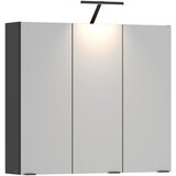 James Wood Omara Z Ogledalom Cotia Cotll 3 Cene