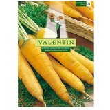VALENTIN KORENOVKA KORENJE LJUBLJANSKO RUMENO 199 | Shoptok.si