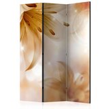  Paravan u 3 dijela - Queens of Summer [Room Dividers] 135x172 Cijene