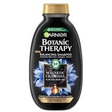 Garnier Botanic Therapy Magnetic Charcoal šampon za kosu 250 ml Cene