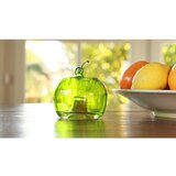 Esschert Design Steklene pasti za žuželke v kompletu 2 ks Apple – | Shoptok.si