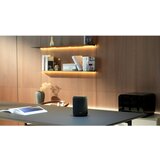 WIIM Sound Lite crna | Shoptok.si