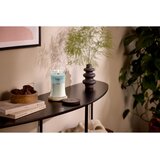 WoodWick Trilogy Driftwood Shores dišeča sveča z lesenim stenjem 610 g | Shoptok.si
