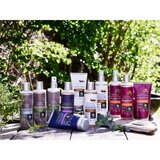 Urtekram Rasul šampon za lase za volumen las 250 ml | Shoptok.si