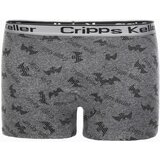 Edoti Men's boxer shorts | shoptok.hr