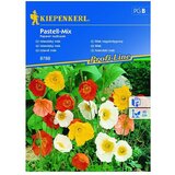 KIEPENKERL Sjeme cvijeća Mak Pastell Mix (Papaver nudicaule, Raznobojno) Cijene