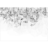  Tapeta - Foggy Nature - Grey 250x175 | shoptok.hr