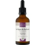 Comptoir des Huiles Olje opuncije - 50 ml Cene