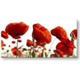  Slike na platnu cvetje panorama KV118E13 (moderne slike na) | shoptok.hr