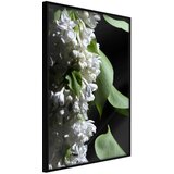  Poster - Fragrant Spring 20x30 | shoptok.hr